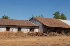 Hermoso campo de 11,5 Há, con antigua casona patronal en San Nicolás.