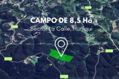 Campo 8,5 Há en sector La Calle, Hualqui.