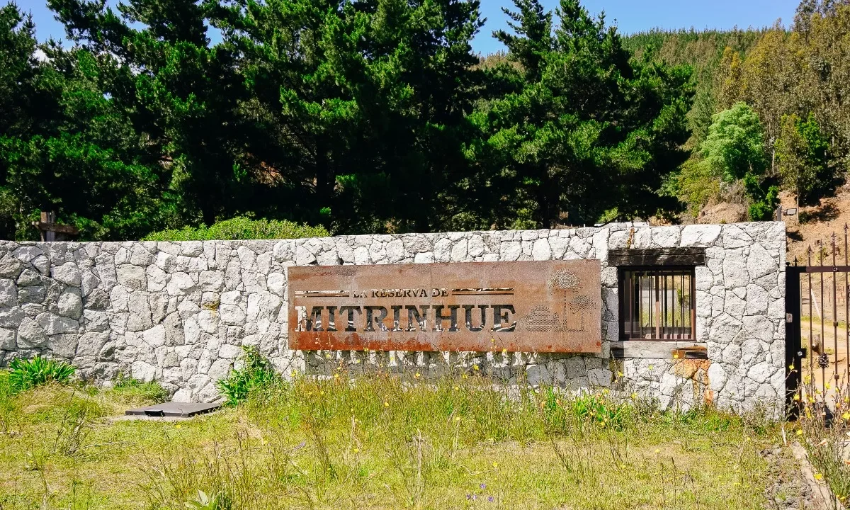 mitrinhue-abs propiedades 3webp